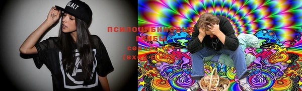 сатива Волосово