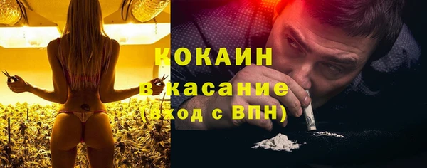 сатива Волосово