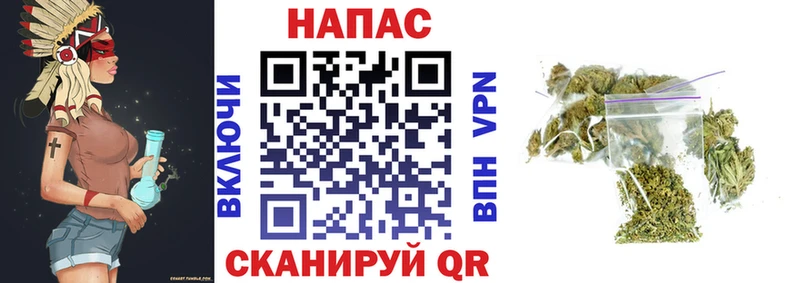 где купить   Александровское  Шишки марихуана конопля 